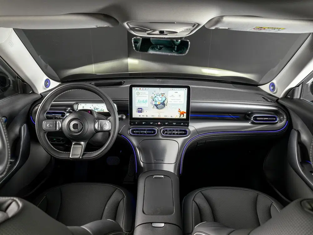 Smart #1 Premium 66 kWh uit 2026, foto 9