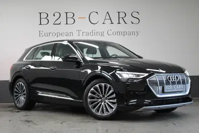 Audi e-tron e-tron 55 Quattro 95 kWh uit 2019