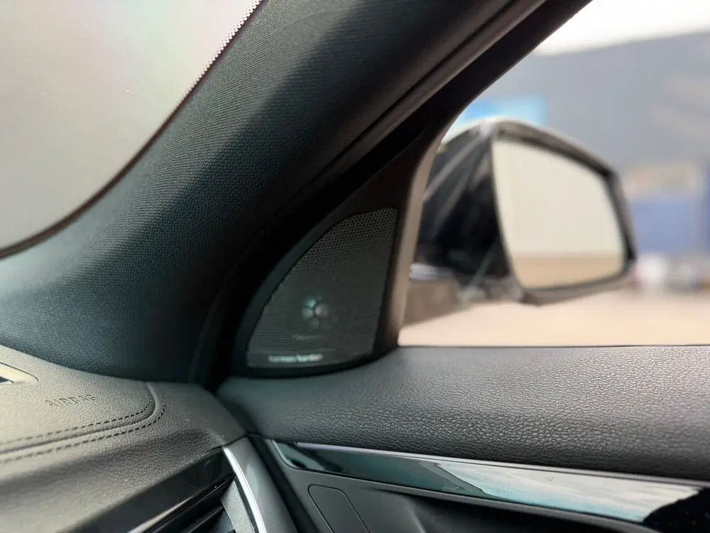 BMW X2 SDrive20i High Executive Pano Hud H&k Lede uit 2019, foto 11