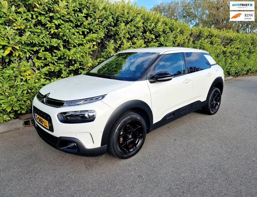 Citroën C4 Cactus Citroen C4 Cactus 1.2 Business Plus Automa uit 2019