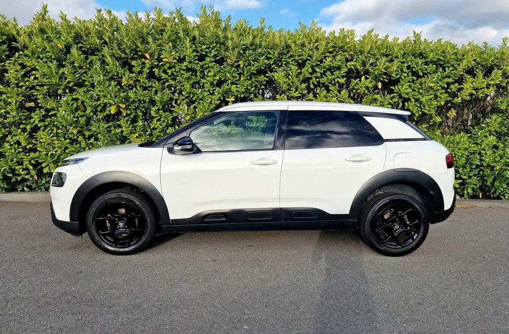 Citroën C4 Cactus Citroen C4 Cactus 1.2 Business Plus Automa uit 2019, foto 3