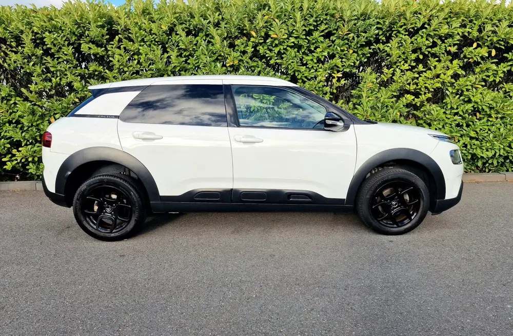Citroën C4 Cactus Citroen C4 Cactus 1.2 Business Plus Automa uit 2019, foto 4