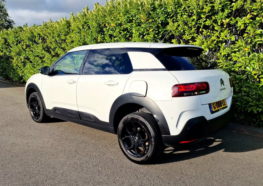 Citroën C4 Cactus Citroen C4 Cactus 1.2 Business Plus Automa uit 2019, foto 5