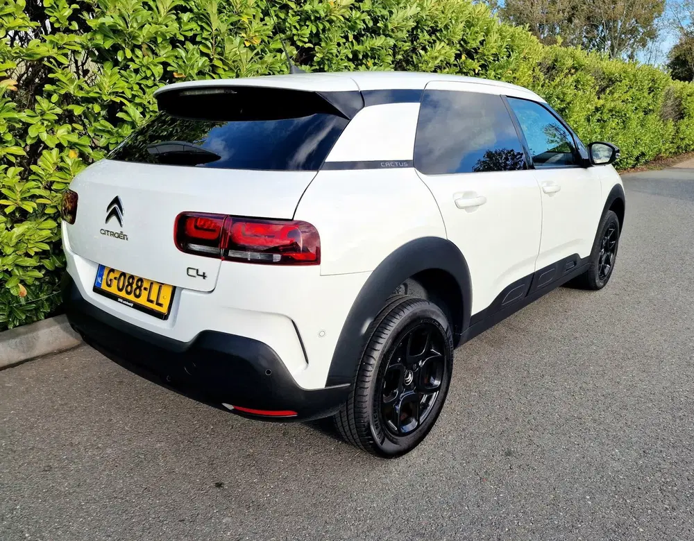 Citroën C4 Cactus Citroen C4 Cactus 1.2 Business Plus Automa uit 2019, foto 6