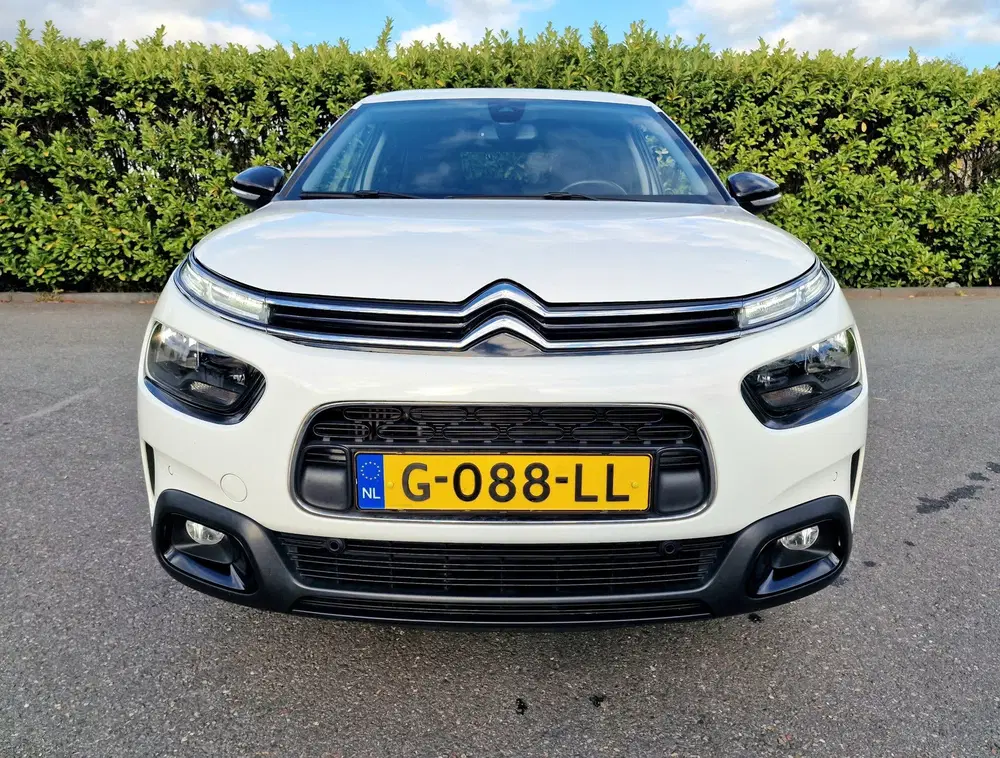 Citroën C4 Cactus Citroen C4 Cactus 1.2 Business Plus Automa uit 2019, foto 7