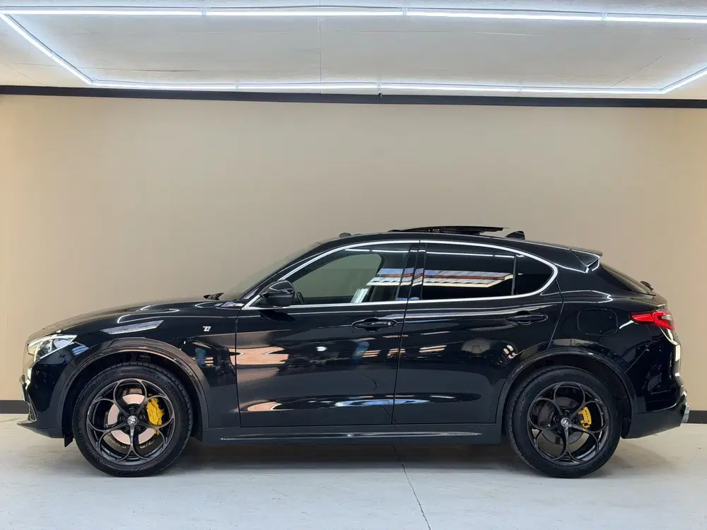Alfa Romeo Stelvio 2.0 T AWD Ti uit 2020, foto 11