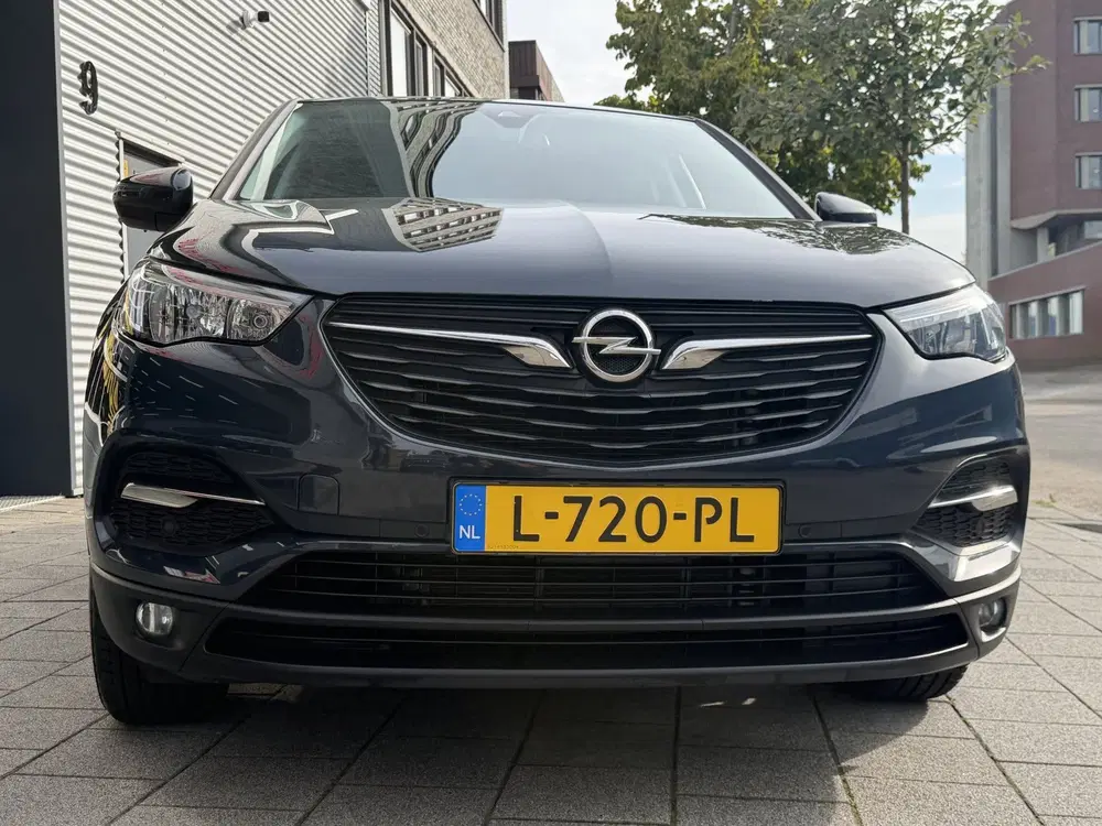 Opel Grandland 1.2 Turbo 120 Jaar Edition uit 2019, foto 12
