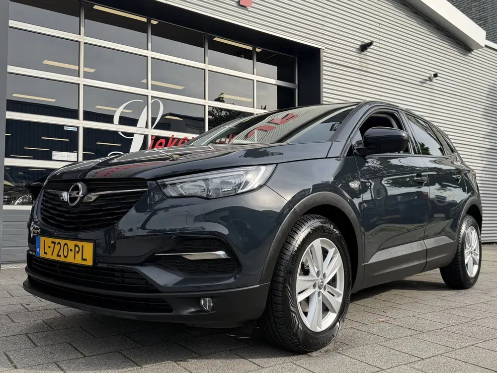 Opel Grandland 1.2 Turbo 120 Jaar Edition uit 2019, foto 6