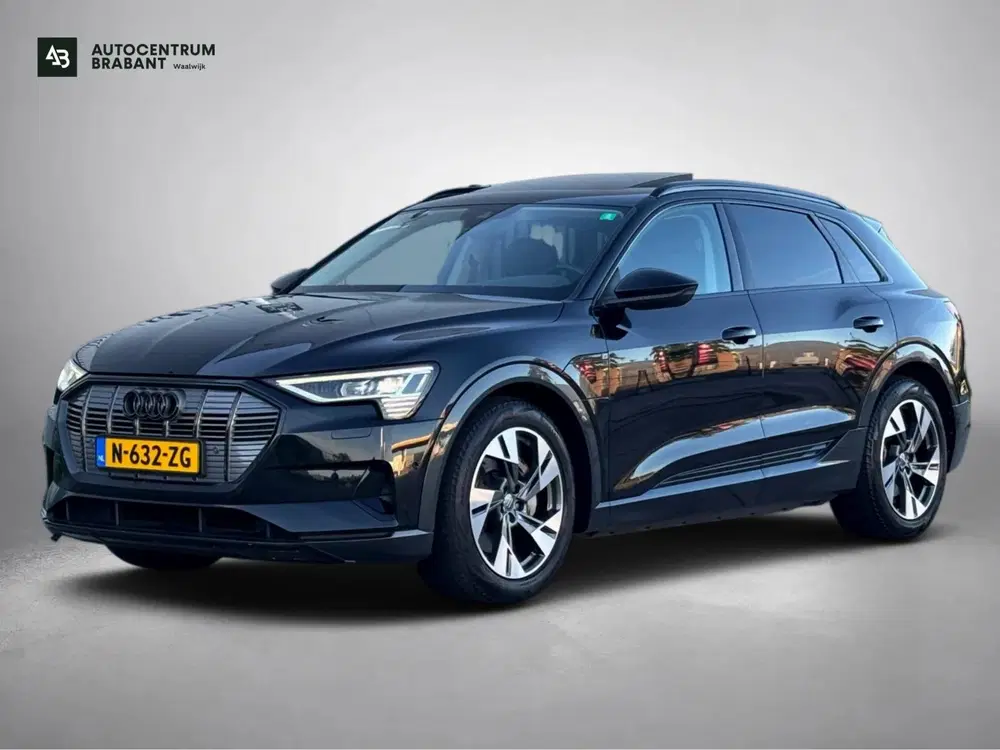 Audi e-tron E-tron 55 quattro 95 kWh (Goed OndH uit 2020