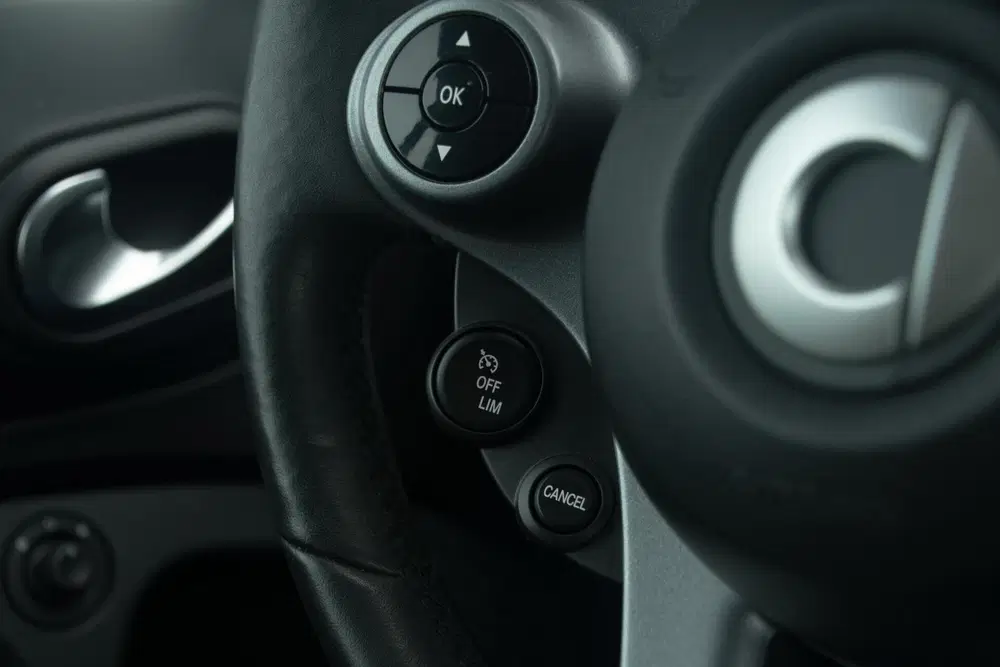 Smart forTwo EQ Comfort PLUS 18Kwh uit 2019, foto 13