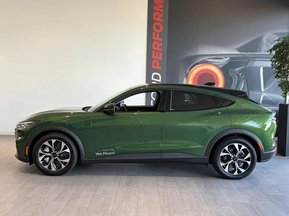 Ford Mustang Mach-E Standard RWD 73 kWh uit 2026, foto 2