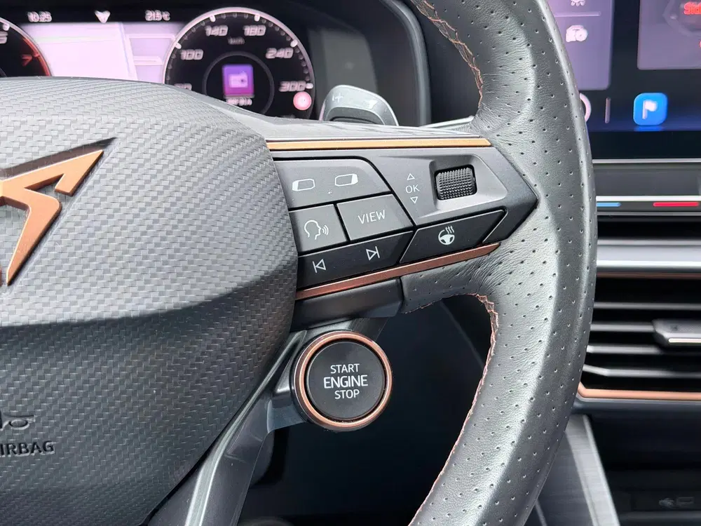 Cupra Formentor 2.0 TSI 4DRIVE Pano uit 2021, foto 15