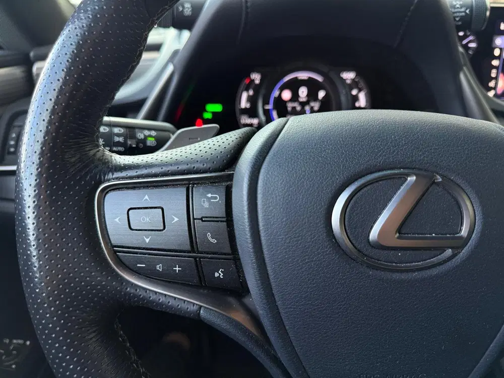 Lexus ES 300h F Sport Line uit 2019, foto 9