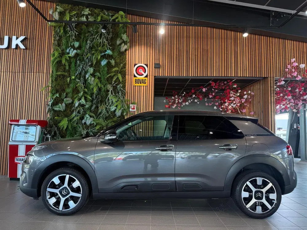 Citroën C4 Cactus Citroen C4 Cactus 1.2 PureTech Shine Keyle uit 2019, foto 4