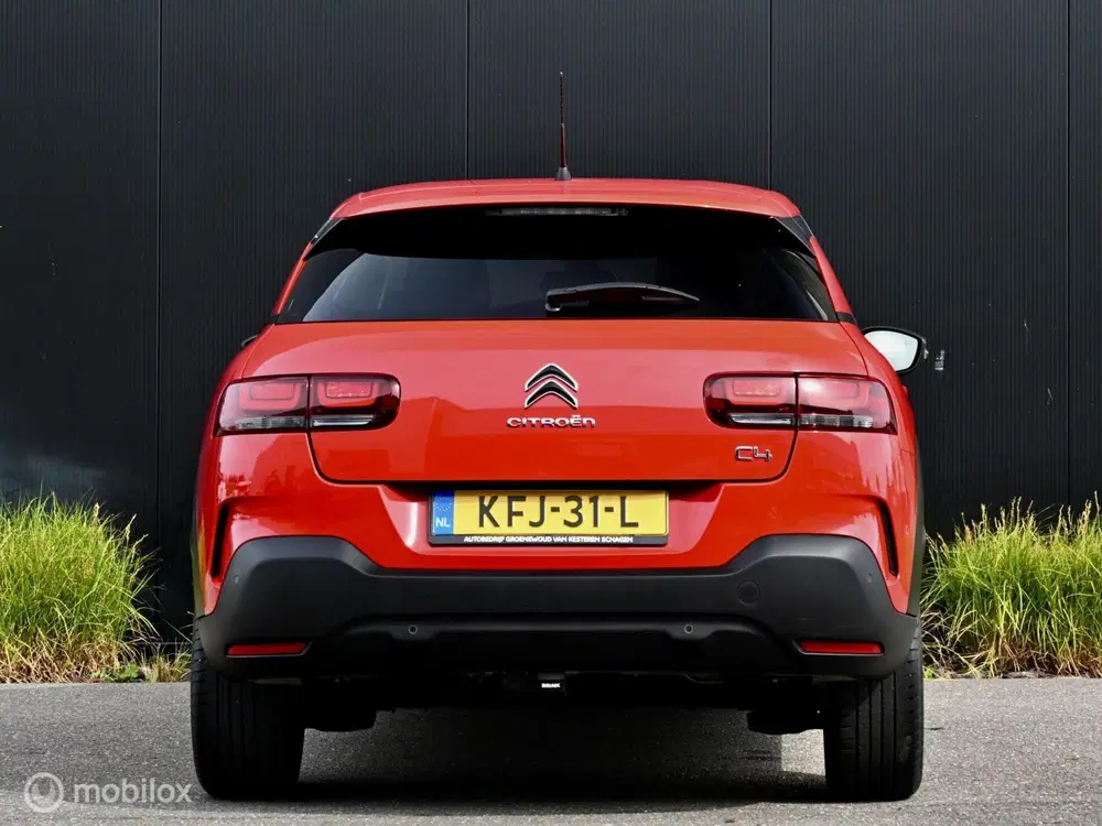 Citroën C4 Cactus Citroen C4 Cactus Shine 110pk I Automaat I uit 2019, foto 4