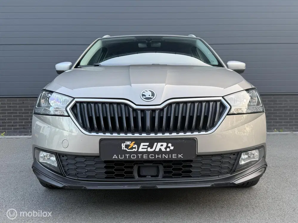 Skoda Fabia 1.0 TSI DSG SCOUT LINE CLIMA*CARPLAY*CRUIS uit 2019, foto 11