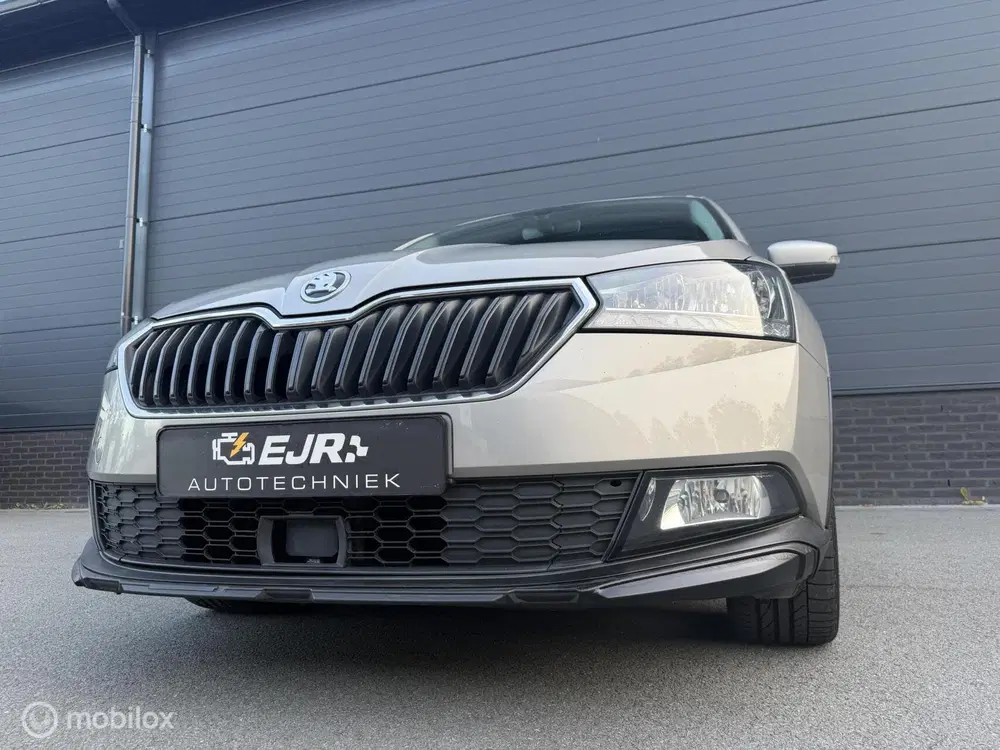 Skoda Fabia 1.0 TSI DSG SCOUT LINE CLIMA*CARPLAY*CRUIS uit 2019, foto 13
