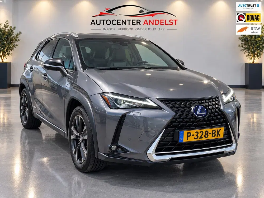 Lexus UX 250h Business Line Aut uit 2019