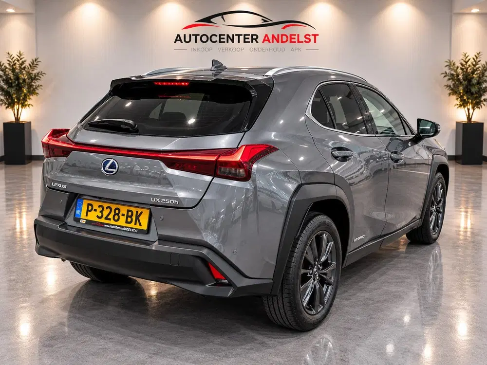 Lexus UX 250h Business Line Aut uit 2019, foto 10