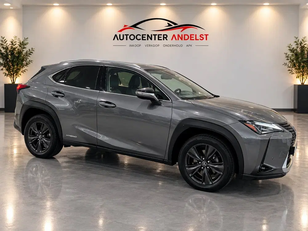 Lexus UX 250h Business Line Aut uit 2019, foto 2