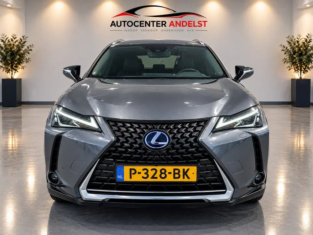 Lexus UX 250h Business Line Aut uit 2019, foto 3