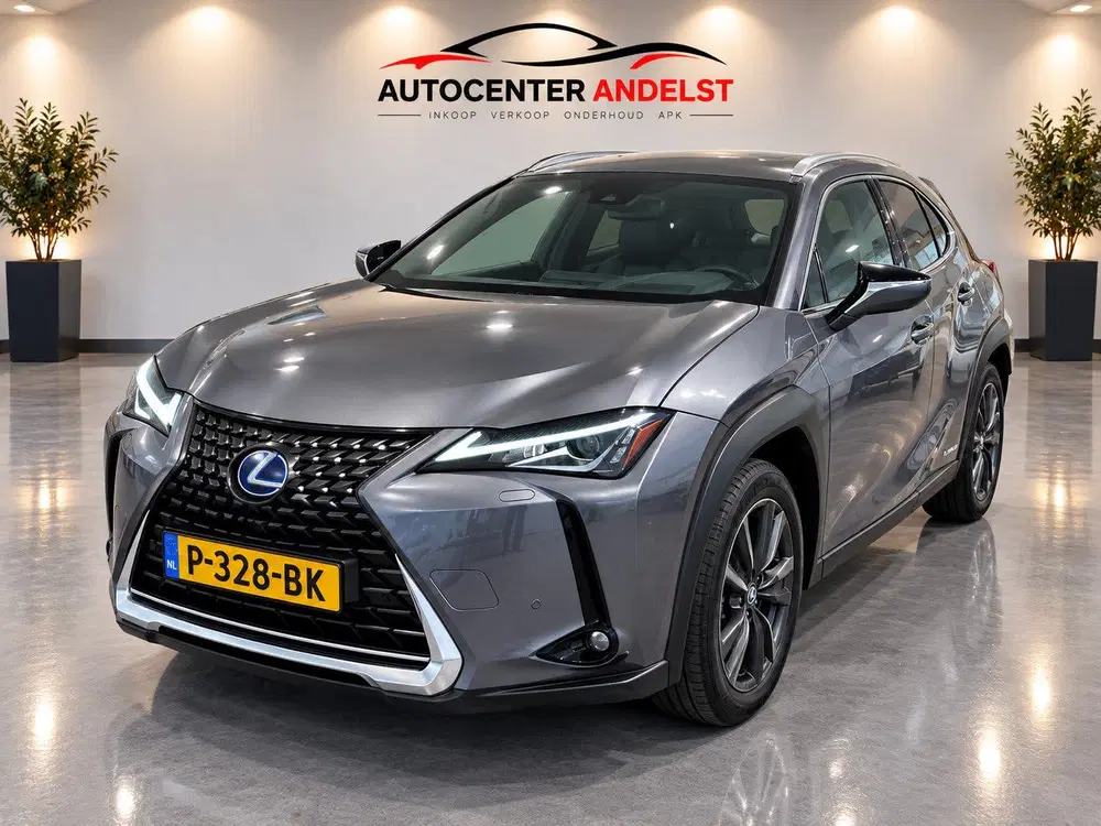 Lexus UX 250h Business Line Aut uit 2019, foto 4