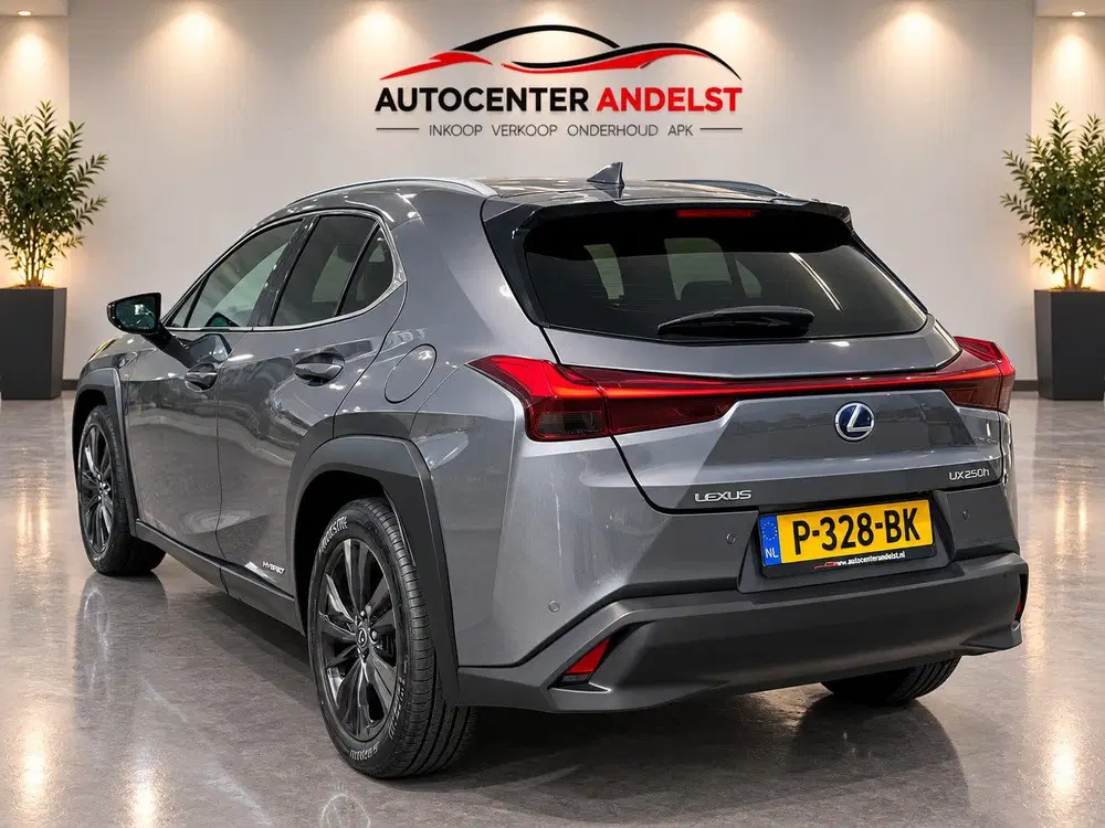 Lexus UX 250h Business Line Aut uit 2019, foto 6