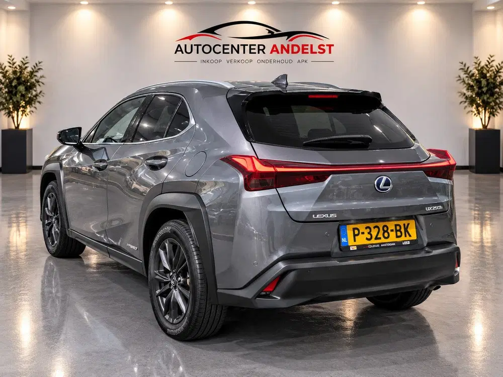 Lexus UX 250h Business Line Aut uit 2019, foto 7
