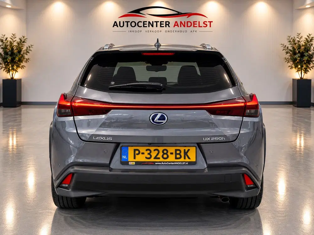 Lexus UX 250h Business Line Aut uit 2019, foto 8
