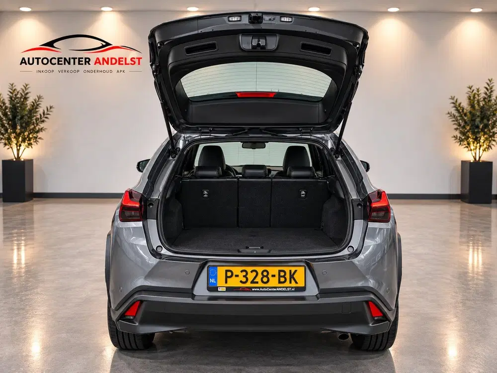 Lexus UX 250h Business Line Aut uit 2019, foto 9