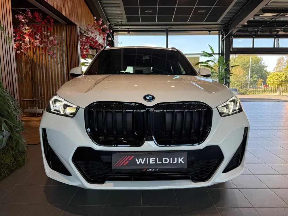BMW X1 xDrive25e M Sport Pro 360 Camera uit 2025, foto 9