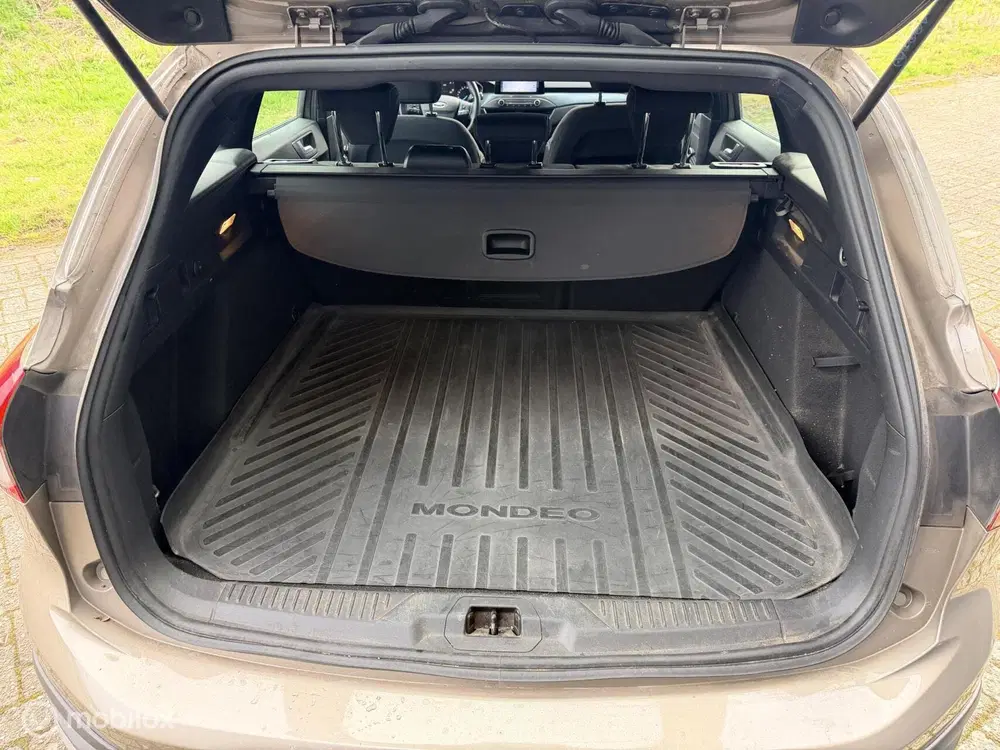 Ford Focus 1.5 EcoBlue Active Business trekhaak uit 2019, foto 5