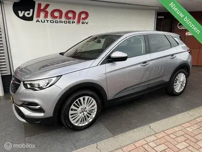 Opel Grandland 1.2 Turbo Business Executive uit 2019