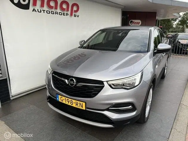 Opel Grandland 1.2 Turbo Business Executive uit 2019, foto 3