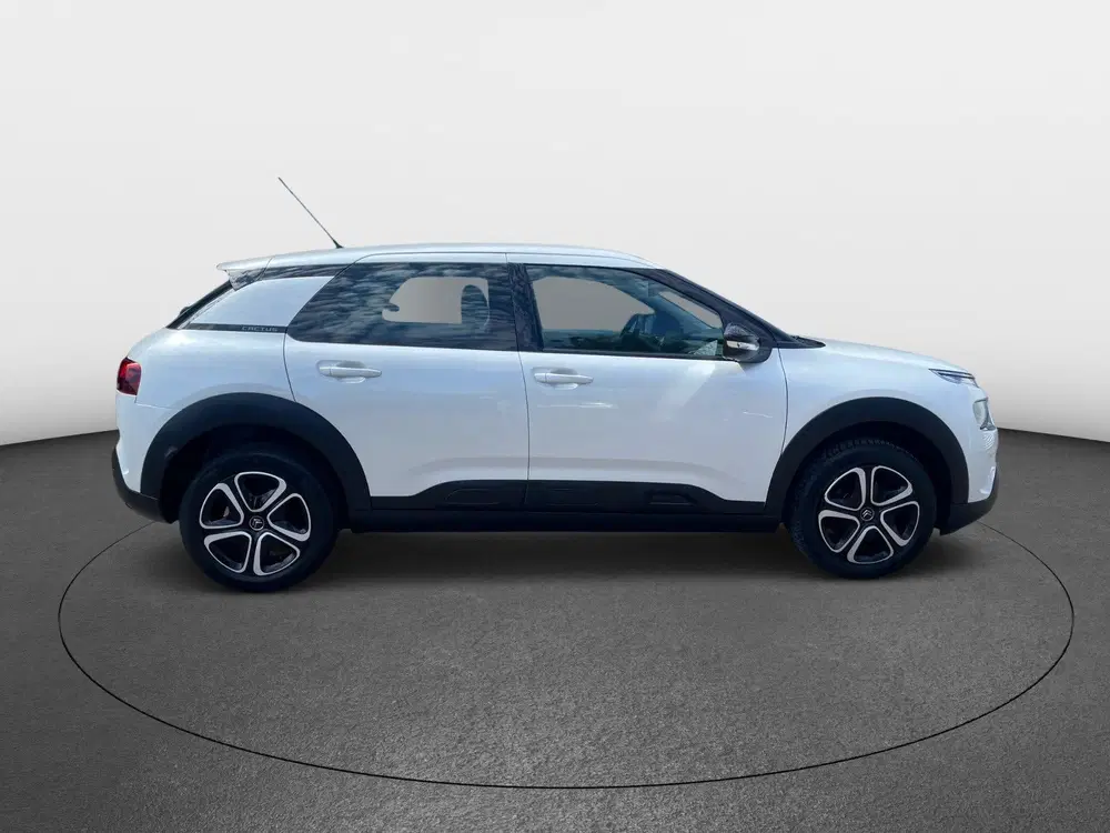 Citroën C4 Cactus Citroen C4 Cactus 1.2 110pk NAVI CLIMA CAR uit 2020, foto 5