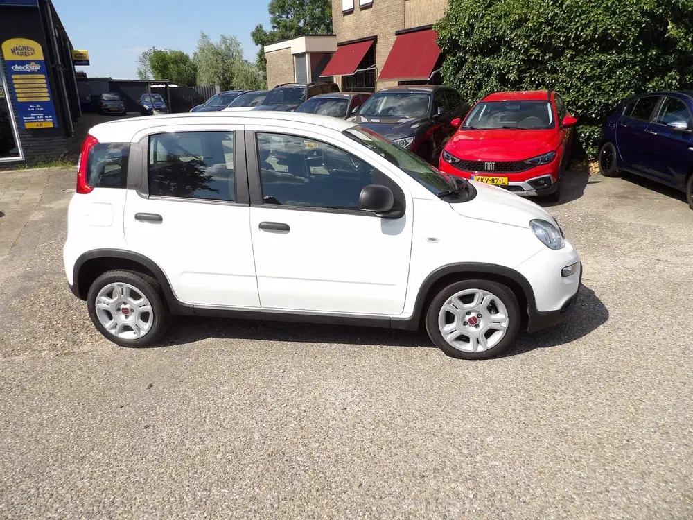 Fiat Panda 1.0 Hybrid Urban uit 2024, foto 2