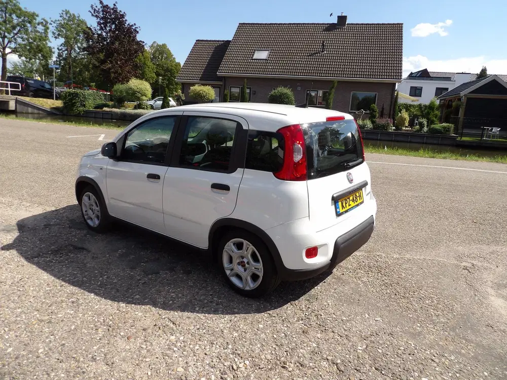 Fiat Panda 1.0 Hybrid Urban uit 2024, foto 6