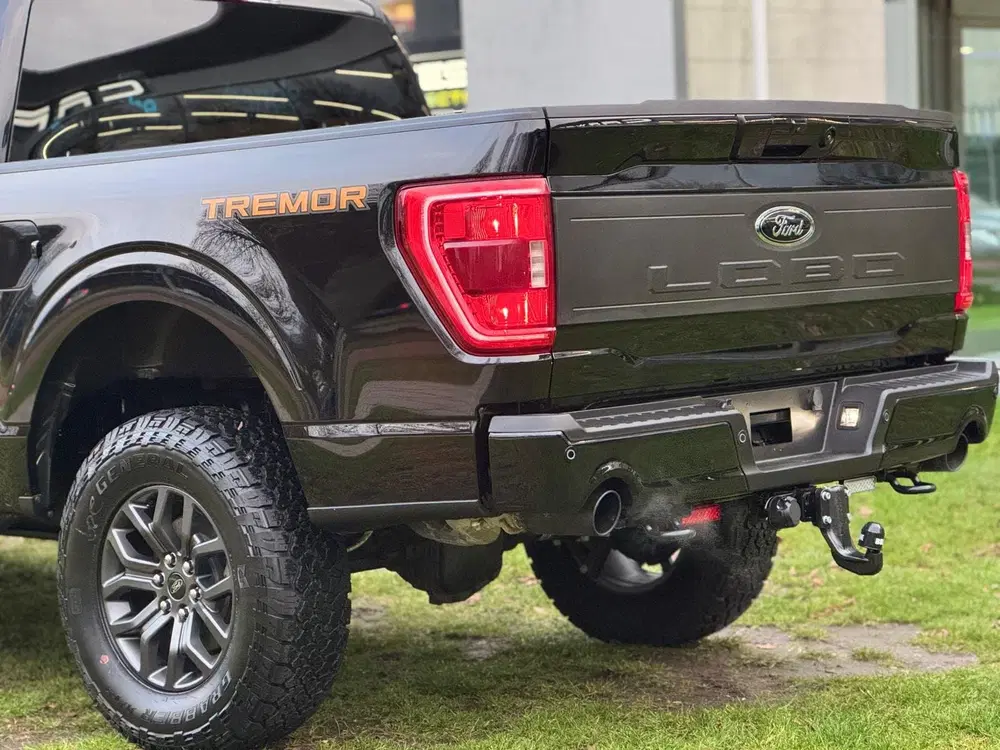 Ford F 150 USA F-150 3.5 EcoBoost Tremor Black Editio uit 2022, foto 7