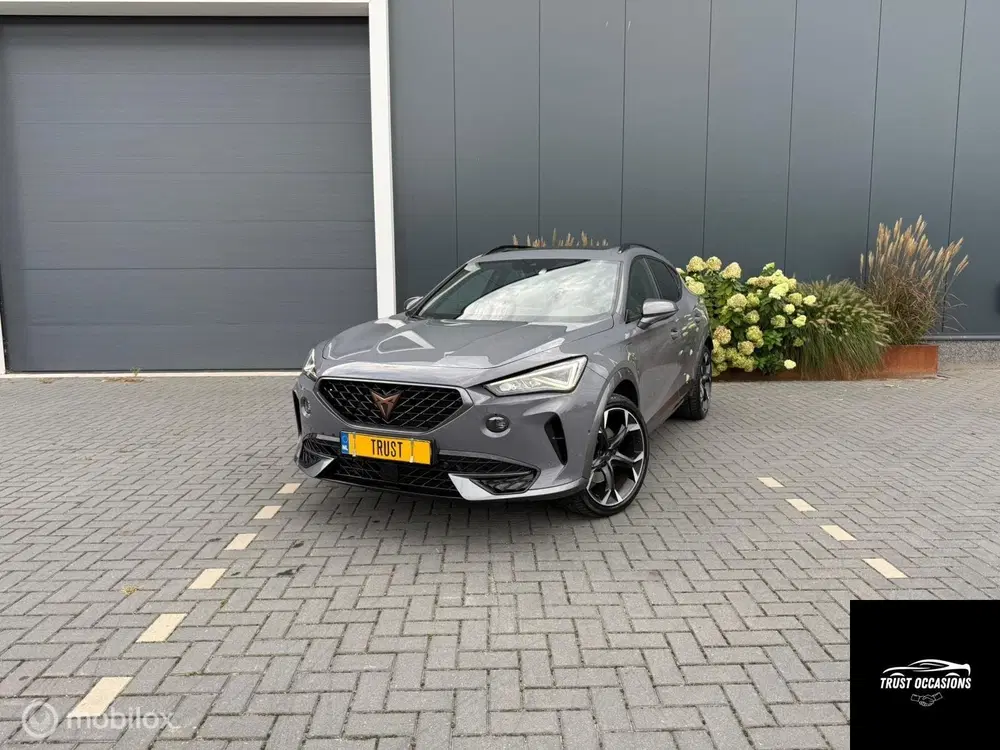 Cupra Formentor 1.4 e-Hybrid Performance Leder APK DEALERO uit 2021