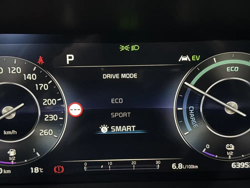 Kia Sorento 1.6 T-GDI Hybrid 2WD DynamicLine 7p. uit 2024, foto 14
