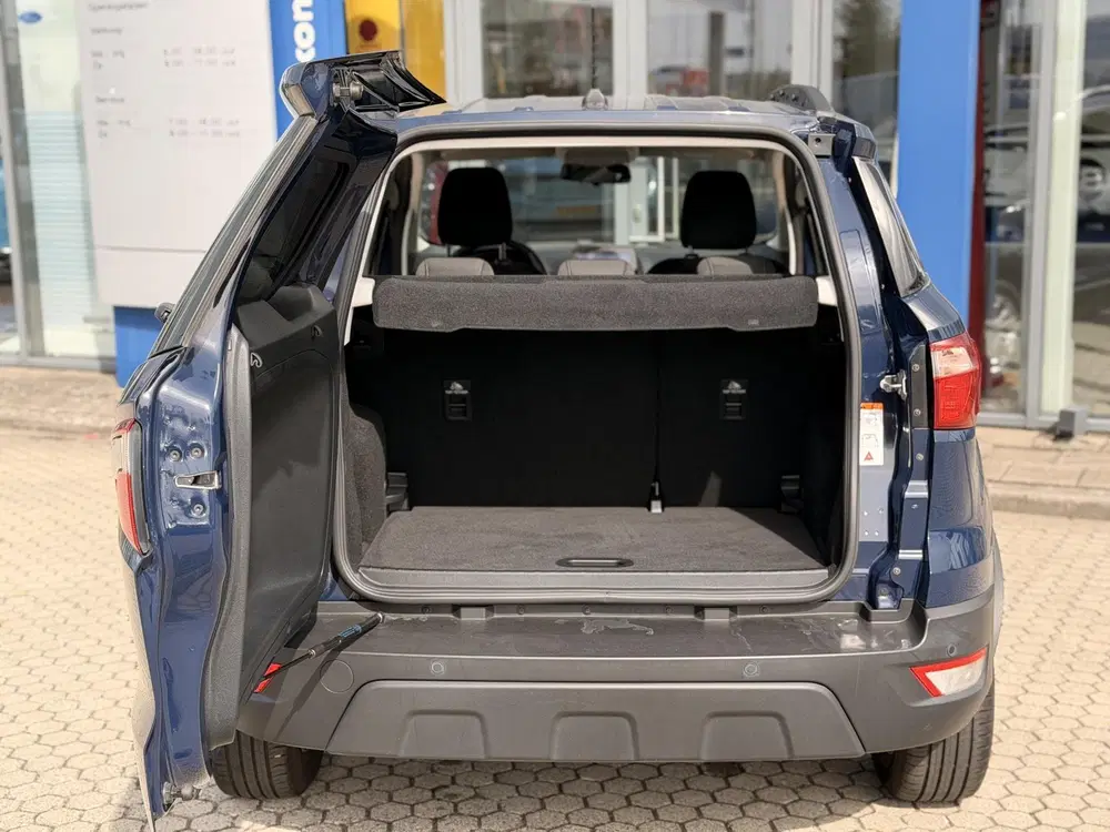 Ford EcoSport 1.0 EcoBoost Trend Ultimate CRUISE CONTROL uit 2019, foto 13