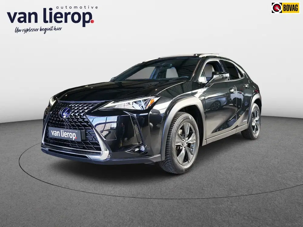 Lexus UX 250h CARPLAY uit 2020