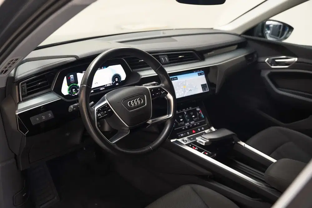 Audi e-tron 55 quattro edition 95 kWh [ Cruise Clima P uit 2022, foto 14