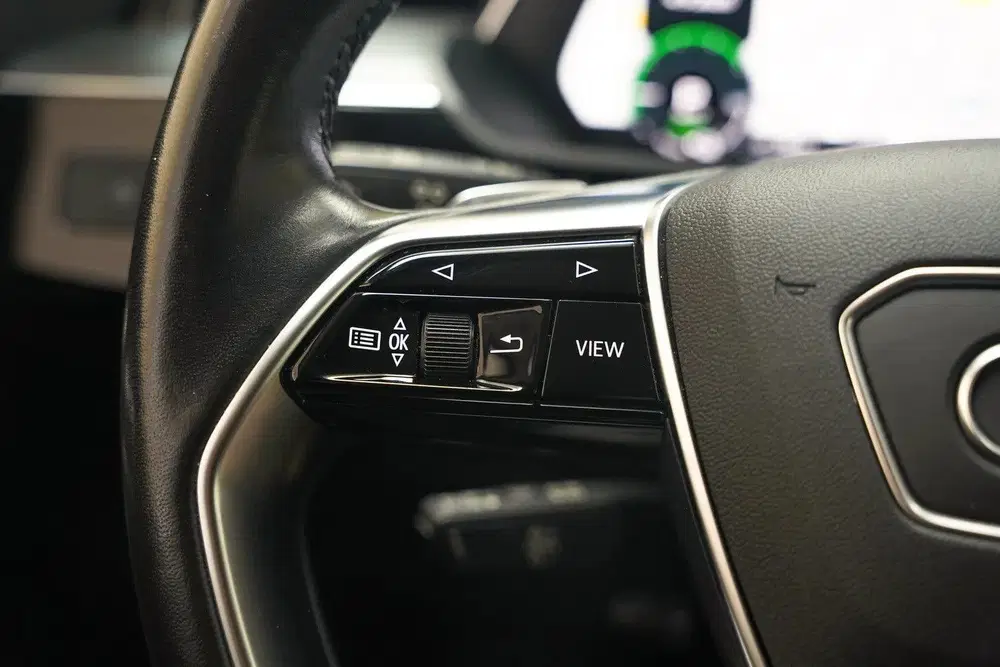 Audi e-tron 55 quattro edition 95 kWh [ Cruise Clima P uit 2022, foto 15