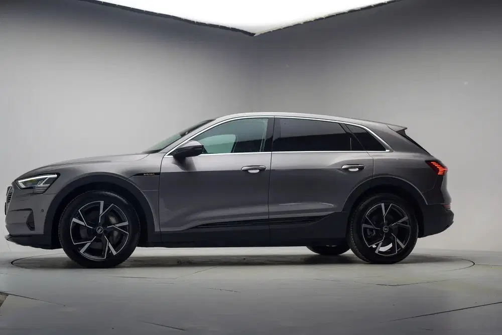 Audi e-tron 55 quattro edition 95 kWh [ Cruise Clima P uit 2022, foto 2
