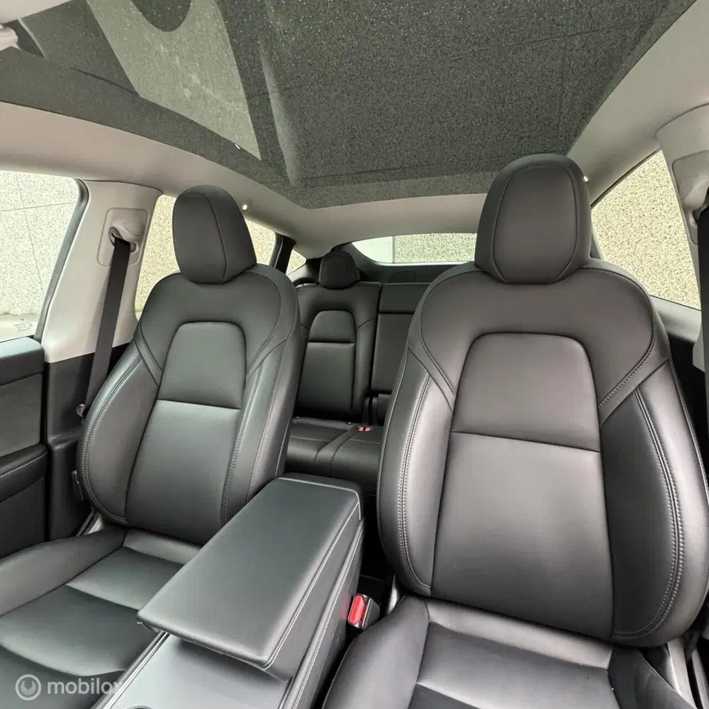Tesla Model Y RWD + MMX PACK + IAP + TREKHAAK uit 2023, foto 9