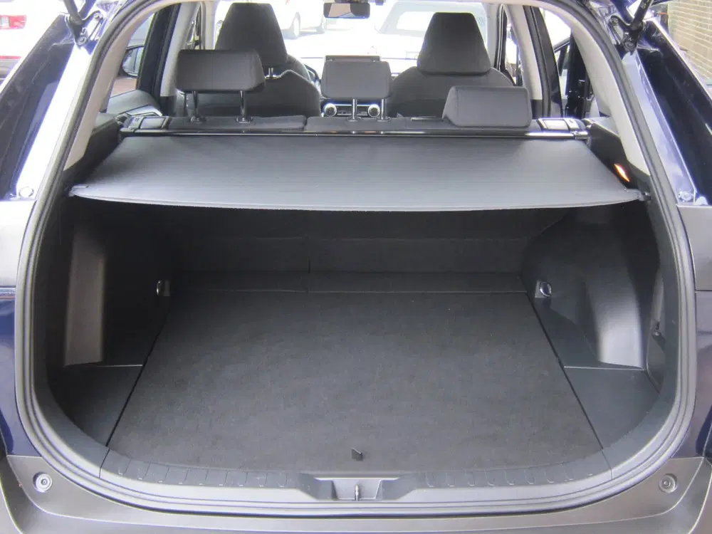 Toyota RAV 4 2.5 Hybrid Business Intro Bearlock All in uit 2019, foto 12