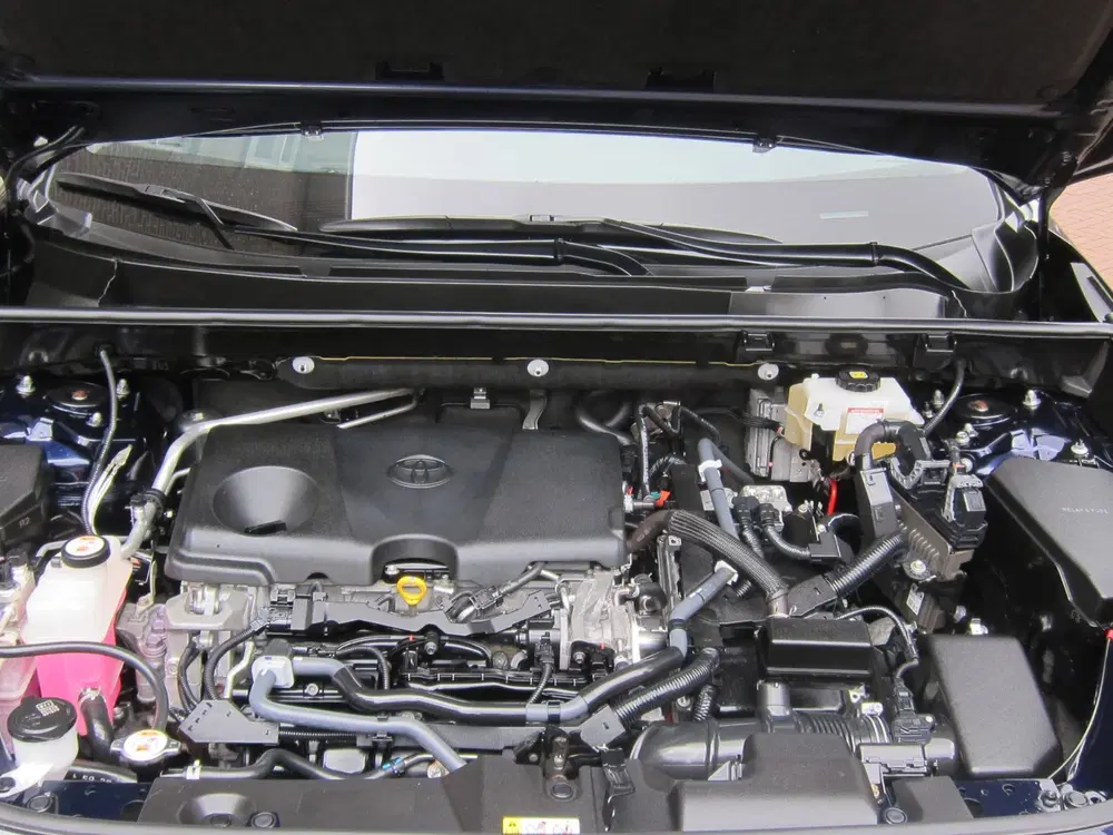 Toyota RAV 4 2.5 Hybrid Business Intro Bearlock All in uit 2019, foto 8