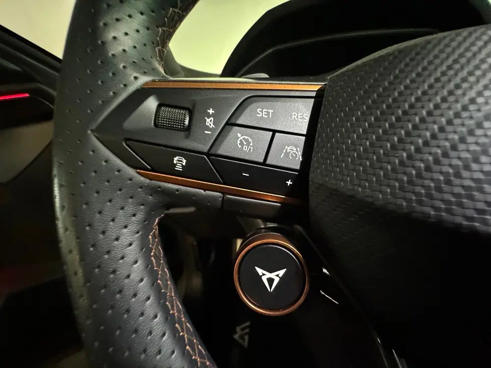 Cupra Formentor 2.0 TSI 4DRIVE Pano uit 2022, foto 12