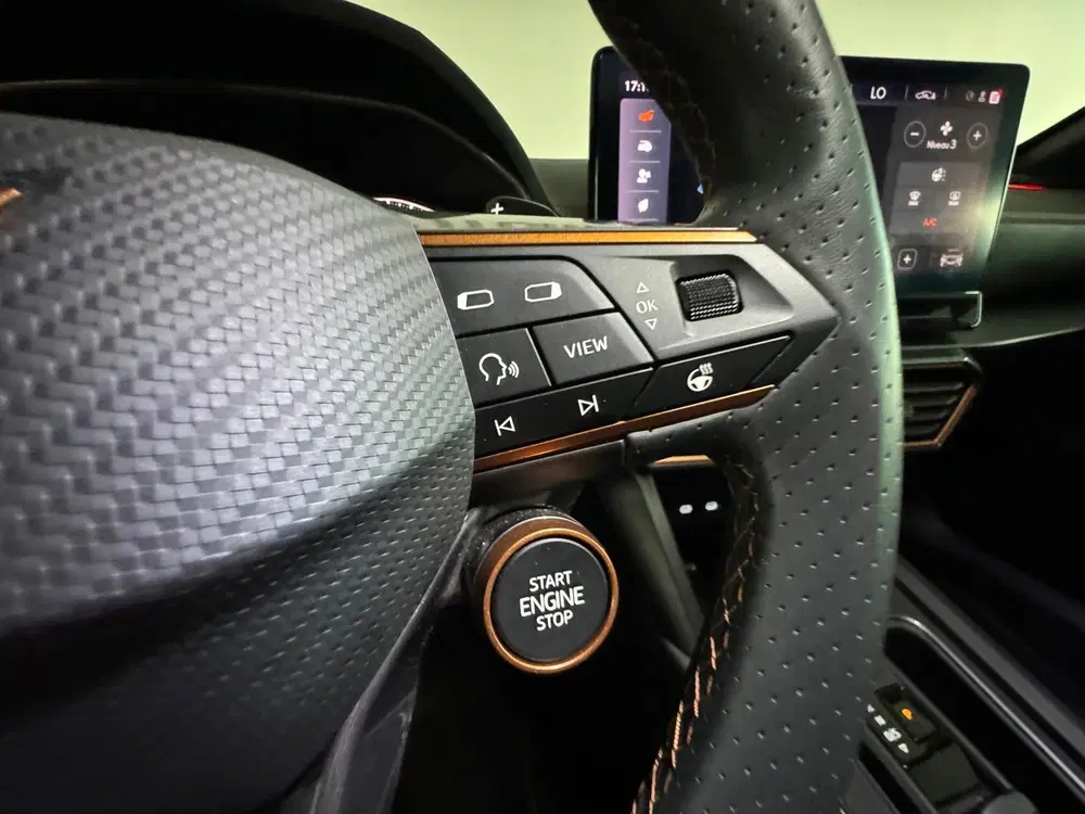Cupra Formentor 2.0 TSI 4DRIVE Pano uit 2022, foto 13
